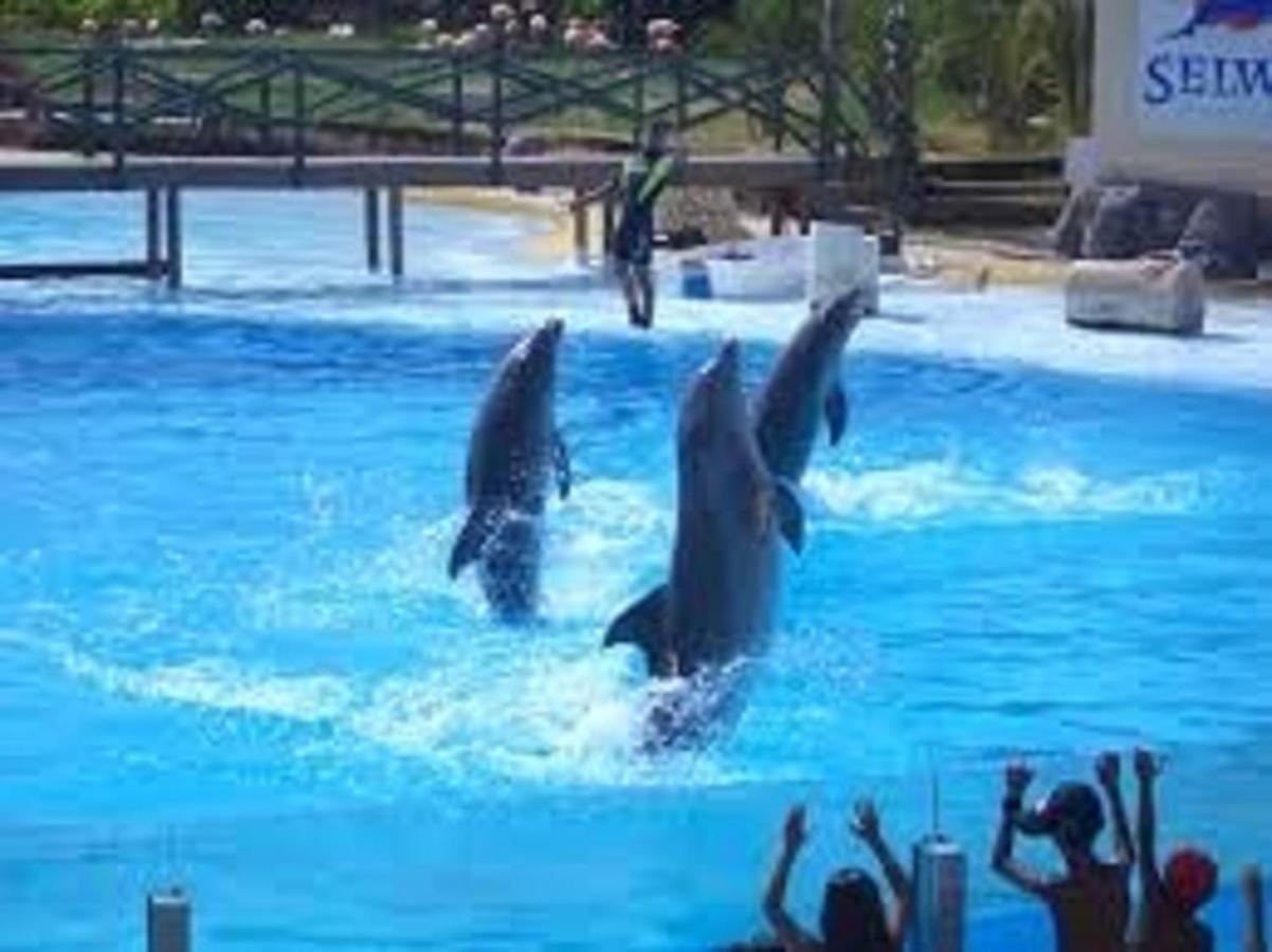 "Vive Benal Beach" Estudio 2501, Vistas Al Mar Y Parque Acuatico Benalmadena Exterior photo